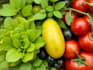 draw realistic plants, vegetables, fruits
