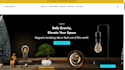 build high converting shopify home decor store, levitating bonsai plants website