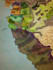 create a fantasy landscape map