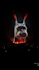 create vj loops concert stage show dj visual concerts led screen animation