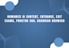 humanize ai content, entrance, exit exams, proctor 360, guardian browser