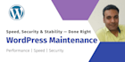 fix wordpress errors, bugs, and optimize your website speed