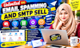 set up SMTP servers and configure email marketing solutions