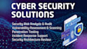 conduct vapt, security and risk assessment, cybersecurity services