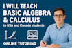 teach basic algebra calculus including USA
