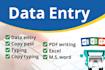 do excel data entry, data entry, PDF to excel data entry