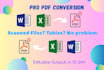 convert scanned PDF or jpeg to editable word or excel