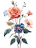 draw realistic botanical illustration