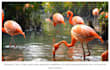 edit touch up your photos