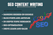 be your professional website content writer, SEO copywriter