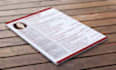 do a professional resume writing services