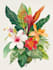 draw realistic botanical illustration