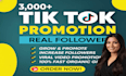 gain 3,000 tiktok followers high quality service