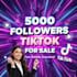 buy 5000 tiktok followers fast