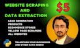 do web scrapping, web mining, data extraction