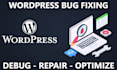 fix any bug on your wordpress