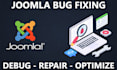 fix any bug on your joomla