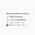 find winning products for ebay dropshipping with high profit