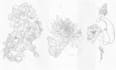 create custom,hand drawn fine line tattoo design