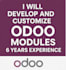 implement odoo erp, setup, customization, and training