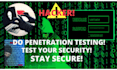 do penetration testing, detect vulnerability and do malware removal