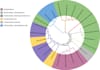perform genome analysis using wgs data