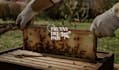 design honey bee logo and product label packaging