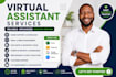 be your virtual assistant for admin support, data entry and excel