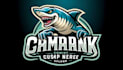create a professional shark mascot logo with bold personality