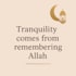 write islamic mental wellness articles