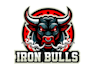 design a meaningful bull logo with new concepts