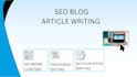 write SEO blog posts and articles