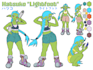 create your custom character sheet