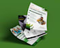 design print ready flyers, bifold and trifold brochures