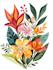 illustrate best botanical illustration