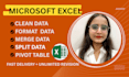 do excel data cleaning, formatting, sorting, and organizing