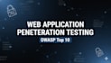 perform professional web application penetration testing owasp top 10
