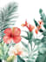 illustrate best botanical illustration