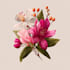 create amazing botanical illustration