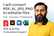 provide professional data entry, excel, and admin support services