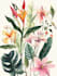 illustrate best botanical illustration