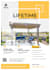 design a clean modern business flyer that converts