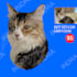 made vector art dogs and cats
