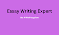 do essay writing ,research ,summary ,case articles proposals