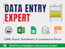 do professional data entry and excel processing with 100 accuracy