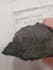 identify your rocks, minerals and fossils