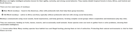 translate format any kind of text