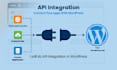 do api integration in wordpress
