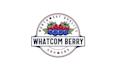 design extraordinary corporate berry logo