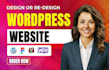 design you a professional wordpress blog website